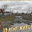 Картинки по запросу ЗАТЯНУТЬ ПОЯСА КАРТИНКИ - КПРФ