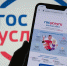 Информацию о назначенных мерах социальной поддержки можно получить в виде единой выписки на портале Госуслуг - РИА Карачаево-Черкесия