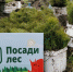 Жителей Карачаево-Черкесии приглашают принять участие в онлайн-марафоне «Лес не без добрых людей» - РИА Карачаево-Черкесия