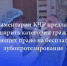 Парламентарии предлагают расширить категории граждан, имеющих право на бесплатное зубопротезирование - Народное Собрание