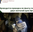 Проводится проверка по факту гибели двух жителей аула Эрсакон - Следственный комитет