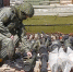 Военная спецоперация на Украине 28 апреля 2022: прямая онлайн-трансляция (обновляется). +Военная сводка ЛДНР. Обстановка на линии соприкосновения 28 апреля (обновляется). Кого спасают на «Азовстали» и чьи дроны сбивают на территории России - КПРФ
