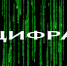 Студентов Карачаево-Черкесии приглашают принять участие в IV Международном молодежном видеофестивале МГУ «Цифра» - Мир 09