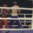 Карачаево-Черкесия принимает Чемпионат СКФО по кикбоксингу - Архыз 24