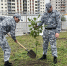 Судебные приставы Карачаево-Черкесии высадили  в республиканской столице саженцы деревьев - УФССП России