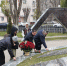 img - ЛДПР