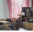 В Черкесске представители регионального следственного управления встретились со школьниками - Следственный комитет