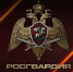 Ключевые события Росгвардии: итоги недели - Росгвардия